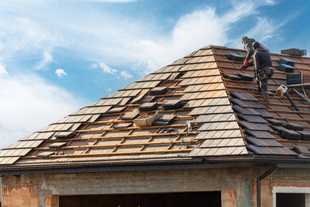 Best Roof Moss and Algae Removal  in Bethlehem, NC